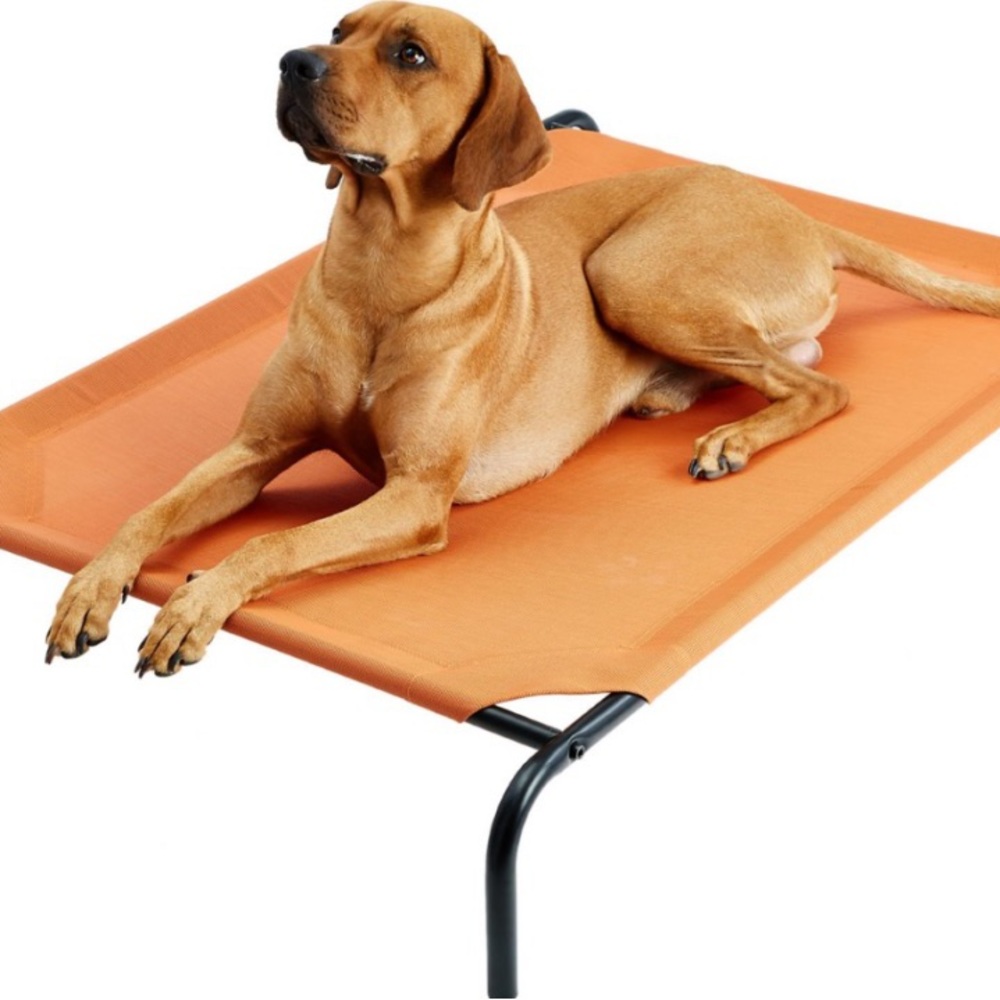 Elevated dog bed